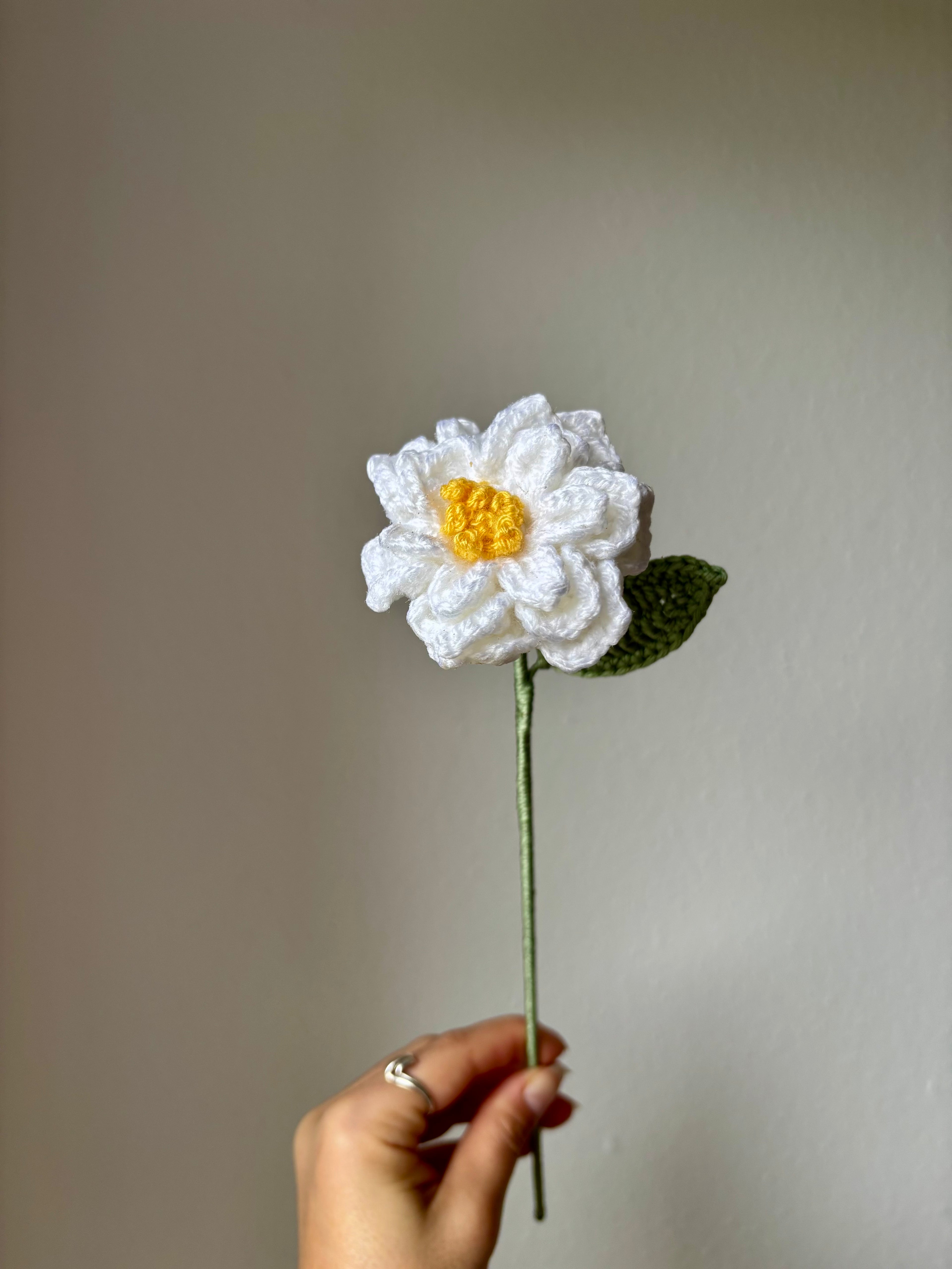 Gardenia