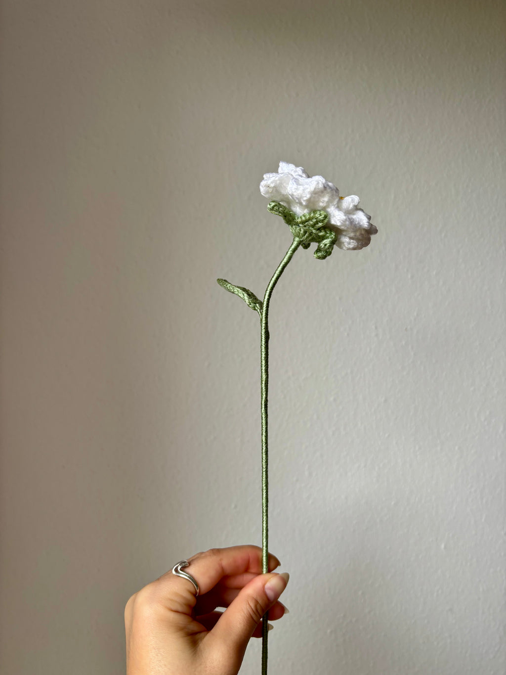 Gardenia