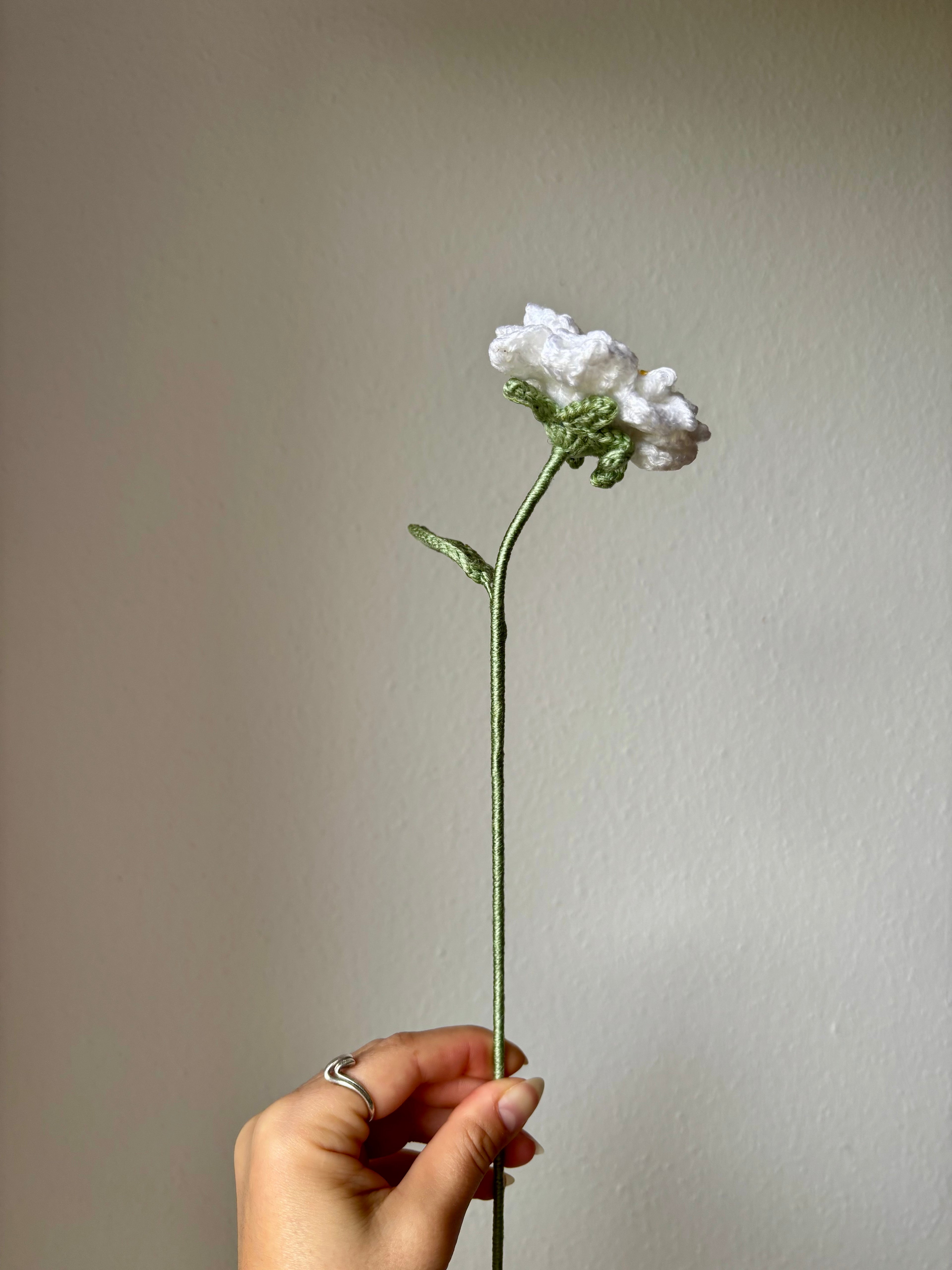 Gardenia