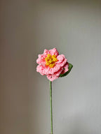 Gardenia