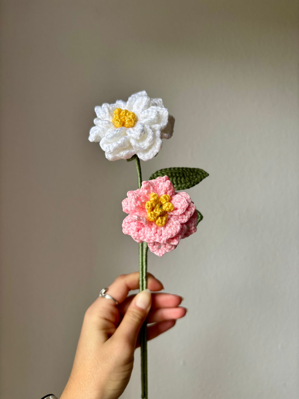 Gardenia