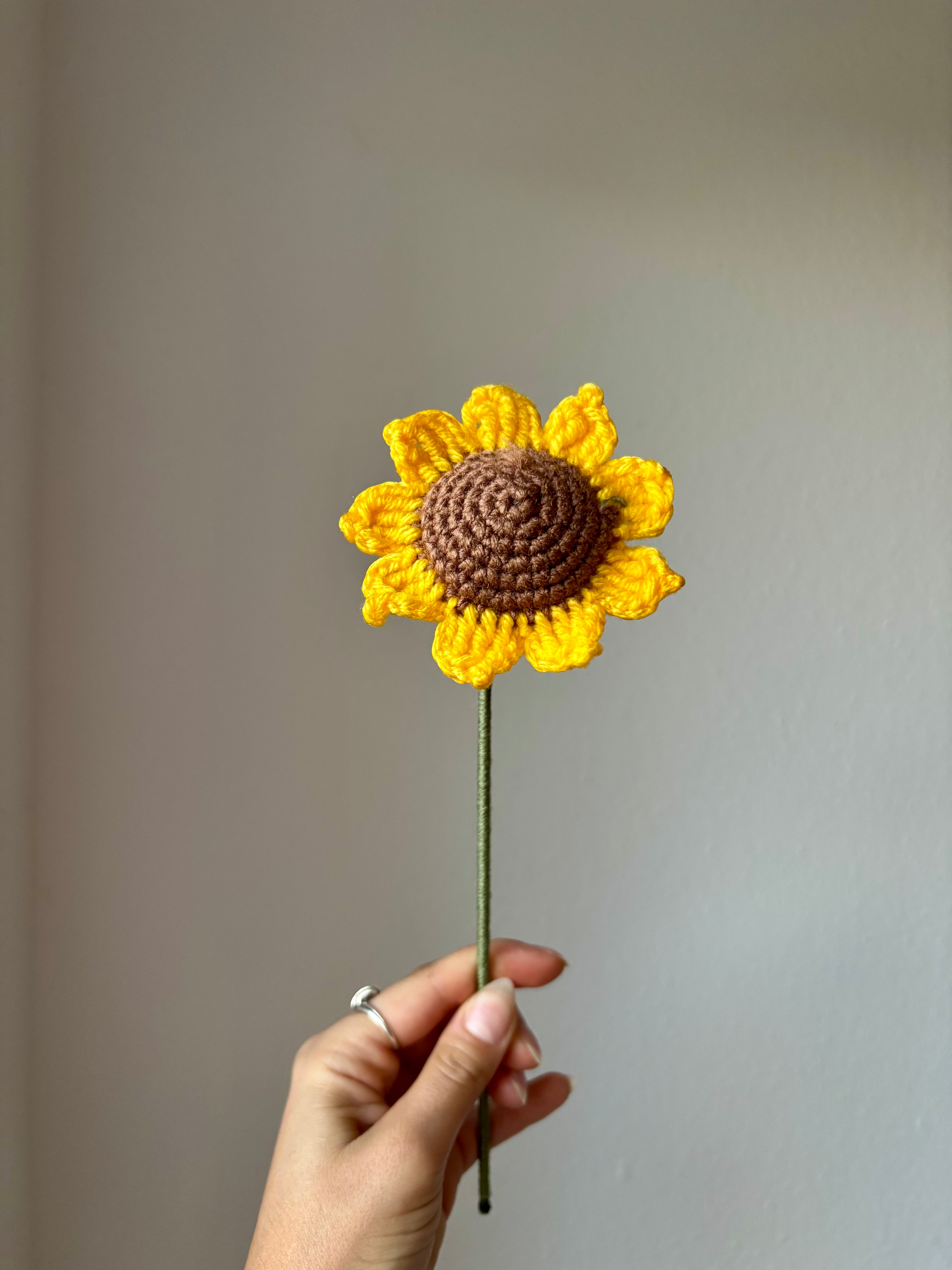 Tournesol mini