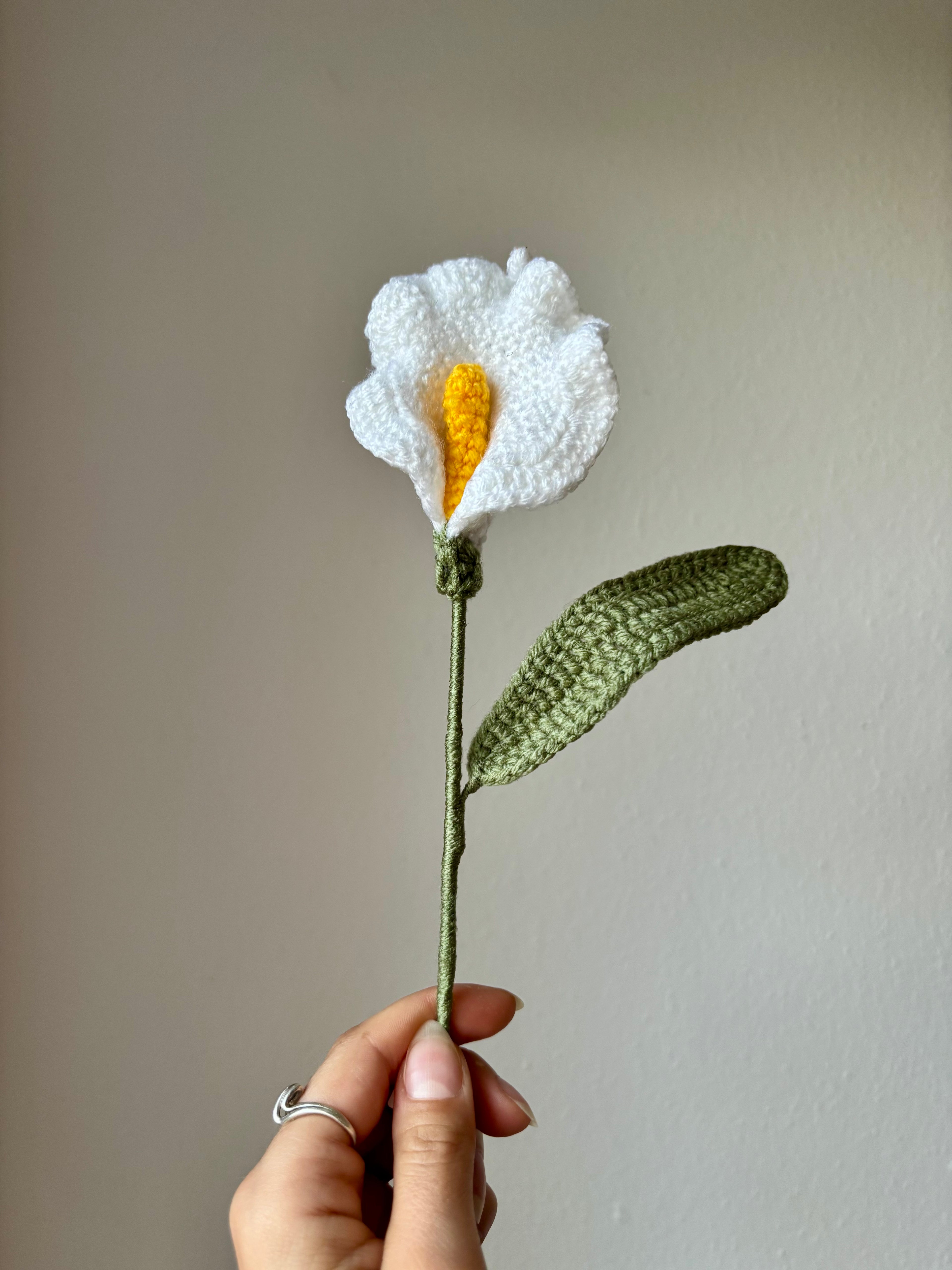 Arum