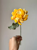 Chrysanthème