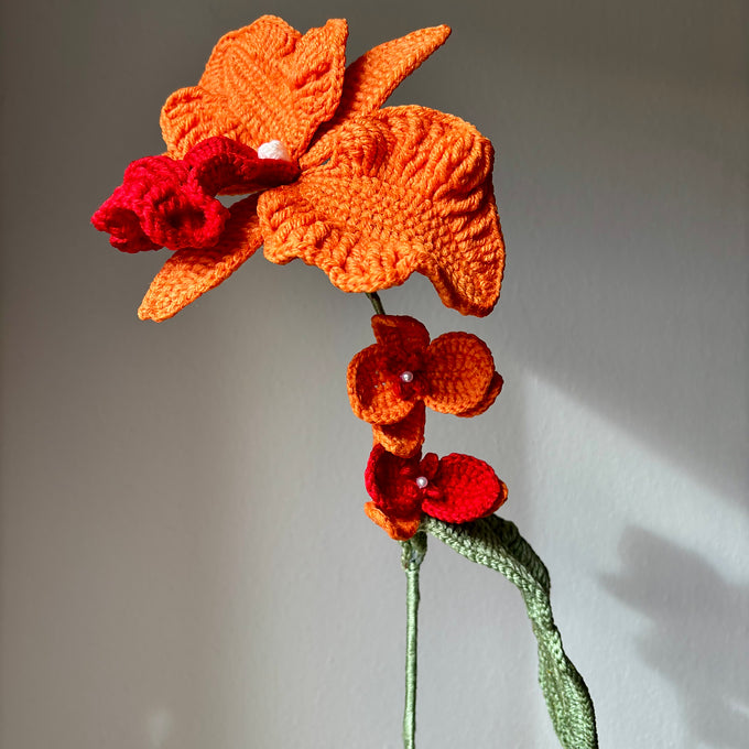 Orchidée